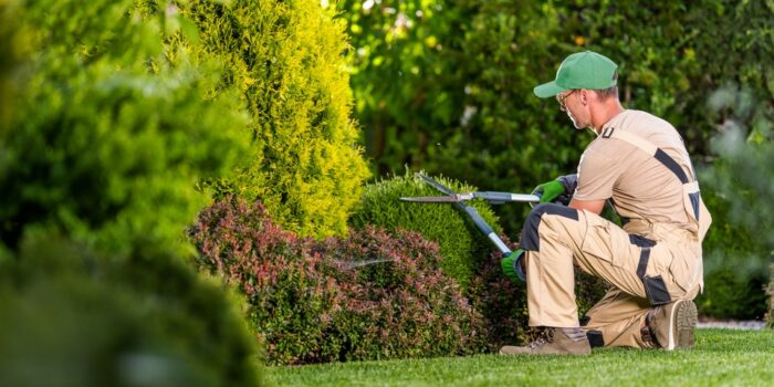 Garden,Pruning,Works,To,Maintain,The,Appearance,Of,Shrubs,,Bushes,